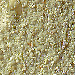 Organogena  calcare finissimo di conchiglie e coralli